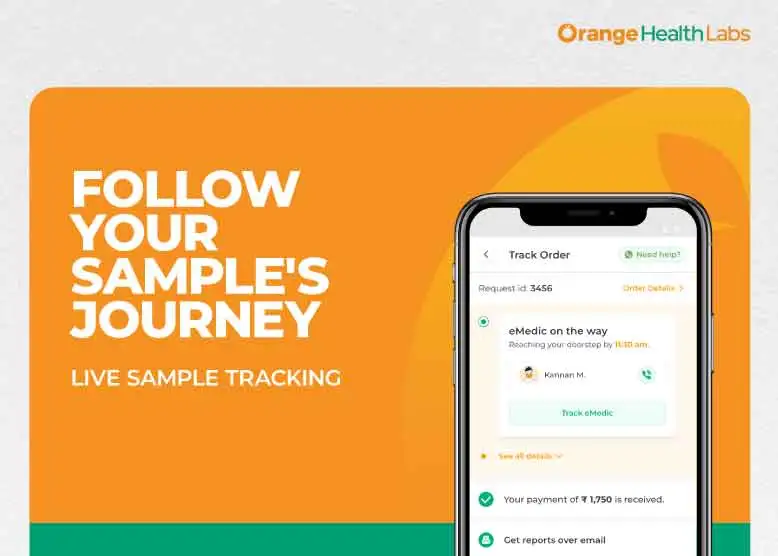 Liver Function Test Price, Normal Ranges, Report & Preparation