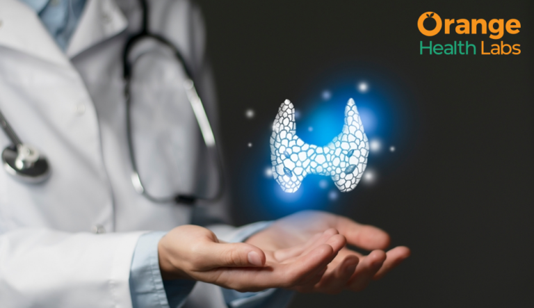 Exploring Essential Functions of Thyroxine in the Body