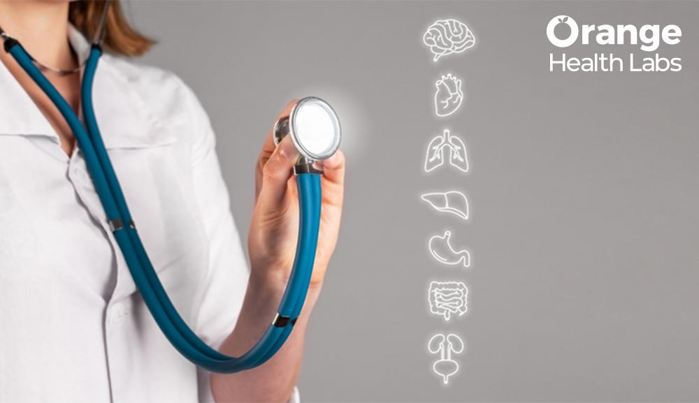 What is mcv in cbc test and what it tells about your blood