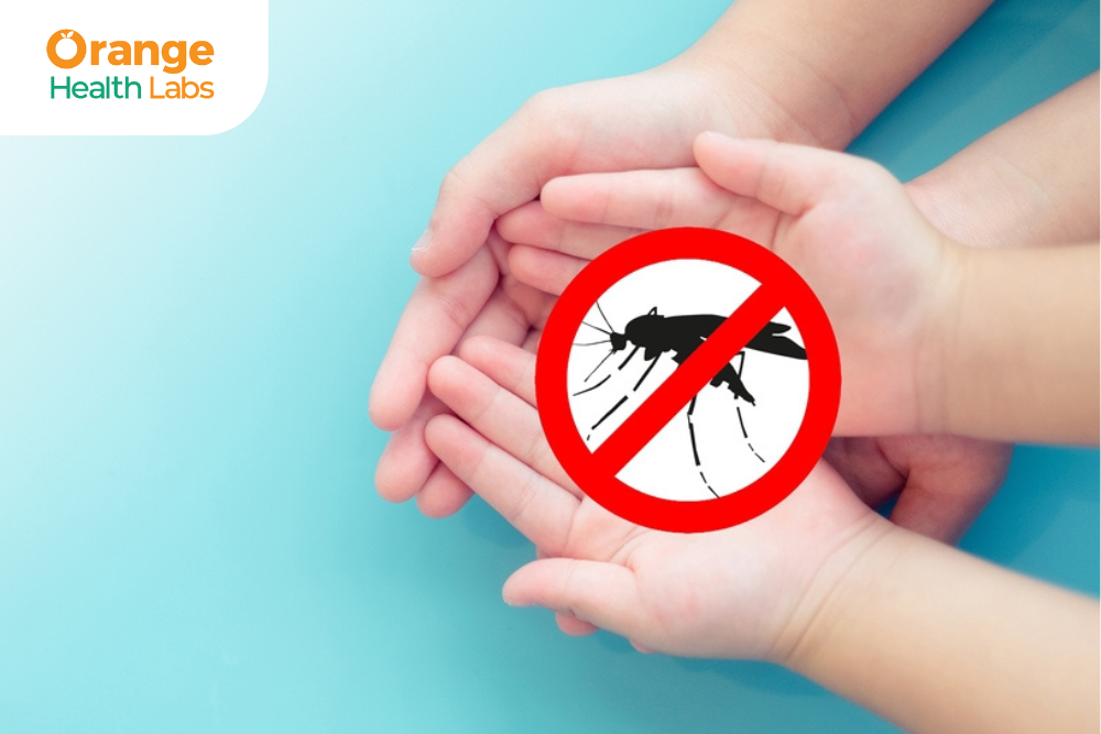 Dengue Risk Prevention