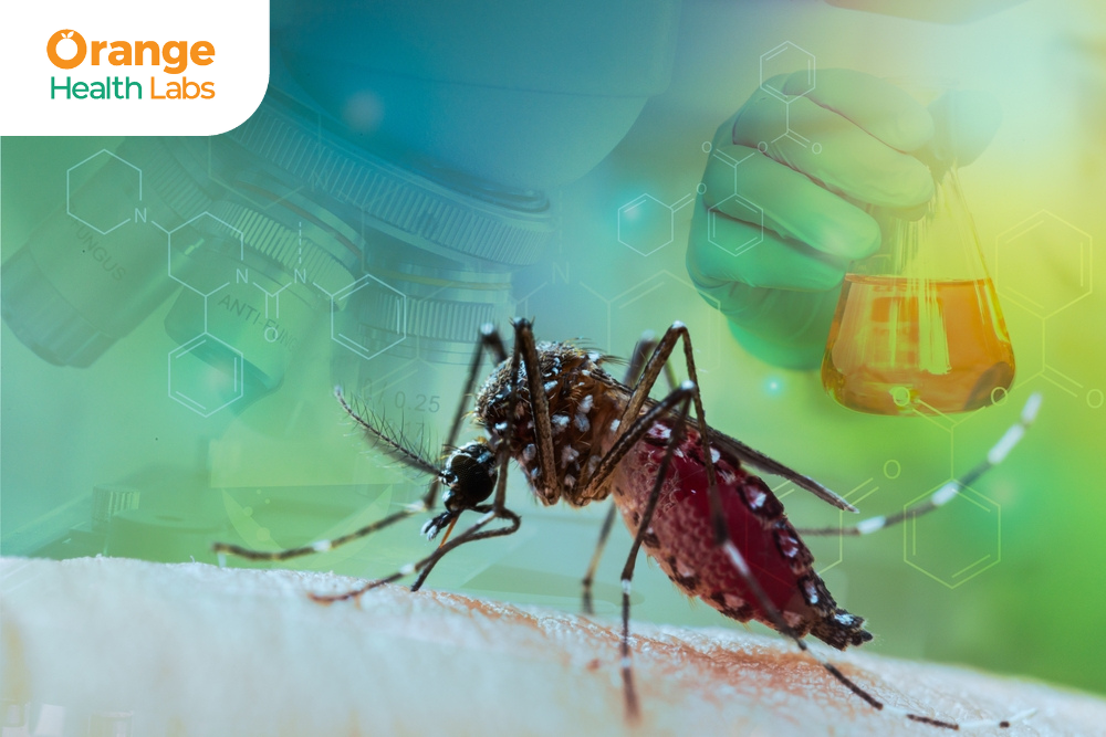 Understanding Dengue Testing process - Orange Health